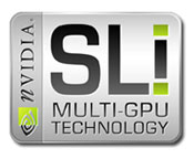 Premiers ForceWare certifiés WHQL pour Windows 64 bit